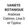 Arabicas Catimor, Line S et Typica
